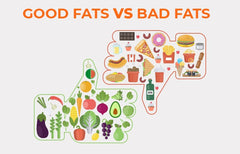 Good Fat vs Bad Fat