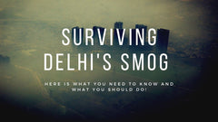 Delhi and Pollution