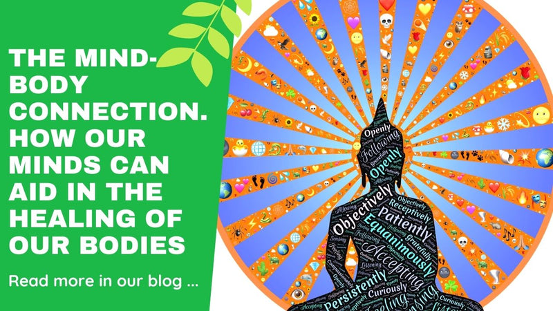 The Mind-Body Connection: How our minds can aid in the healing of our bodies?